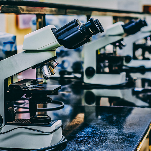Technipath crée son Centre de Ressources Biologiques !